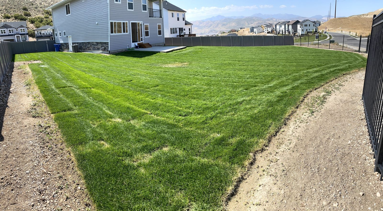 Crisp mowing stripes on a new-build backyard lawn