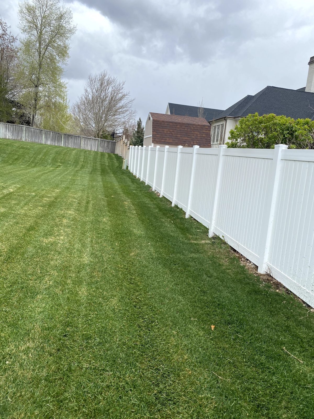 Freshly mowed lawn with stripes along a white vinyl fence