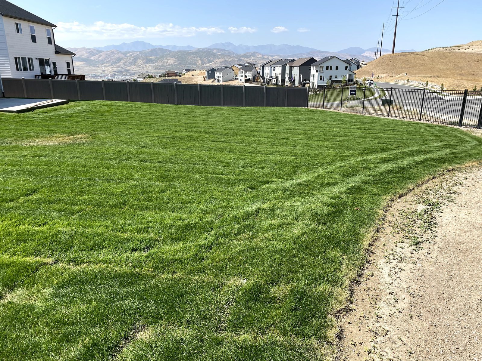 Striped backyard lawn with a curved edge in Utah County