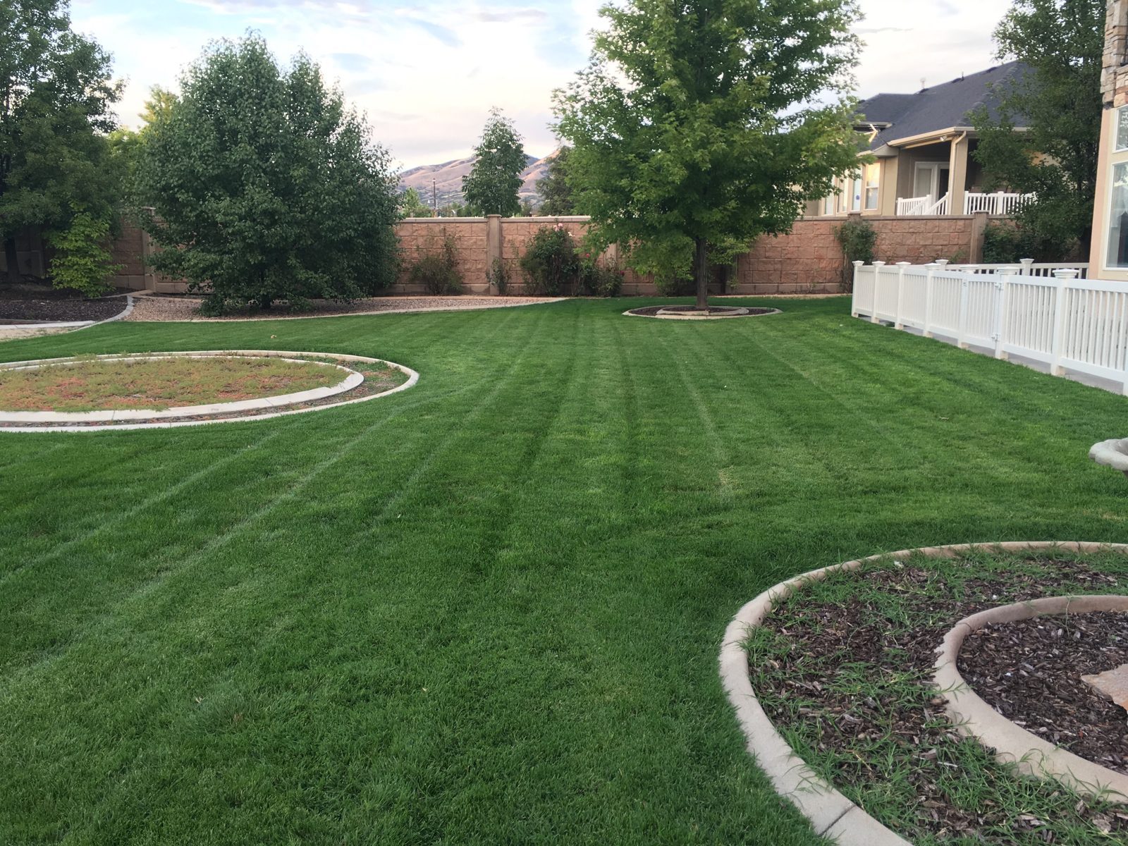 Striped lawn around curved planter beds in Orem