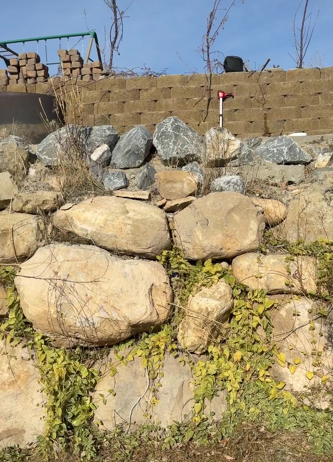 Before: overgrown boulder wall with weeds and vines