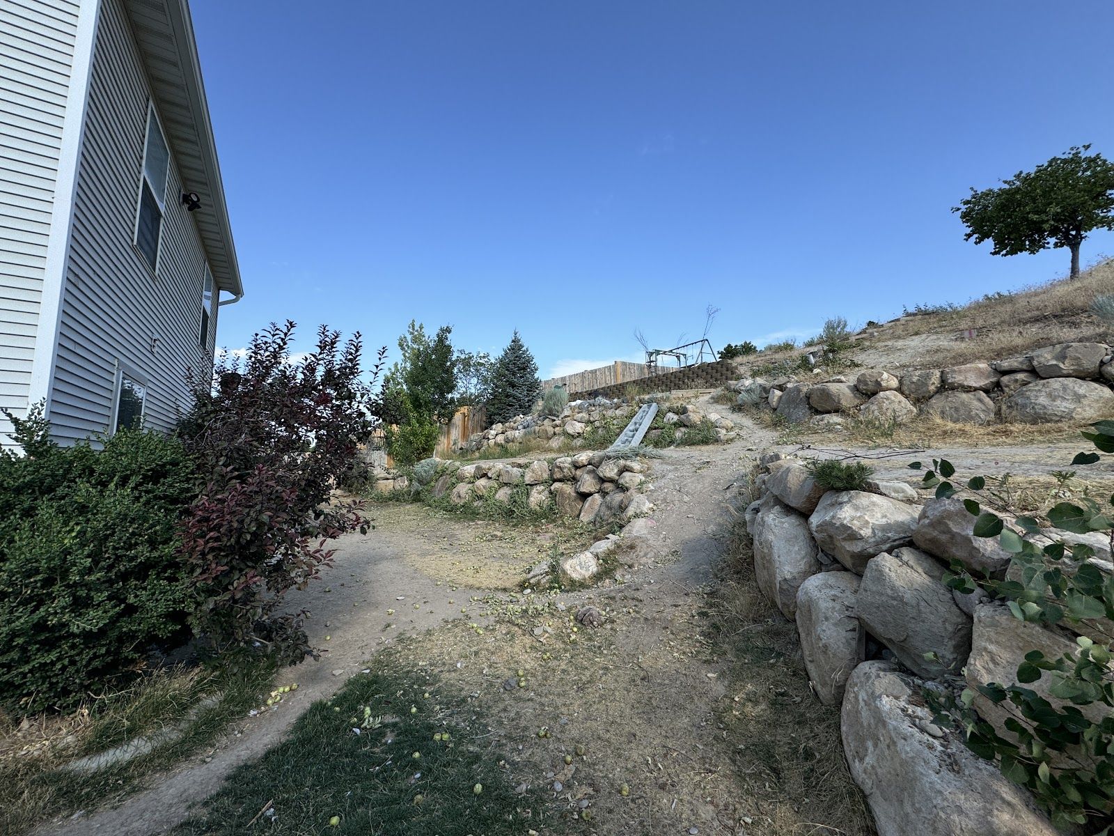 Before: rocky hillside path beside the house